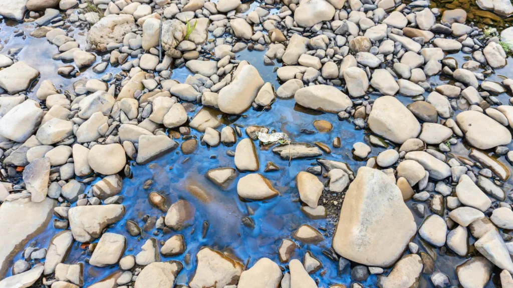 Action Plan for Combating Oil Pollution in a Coastal Zone